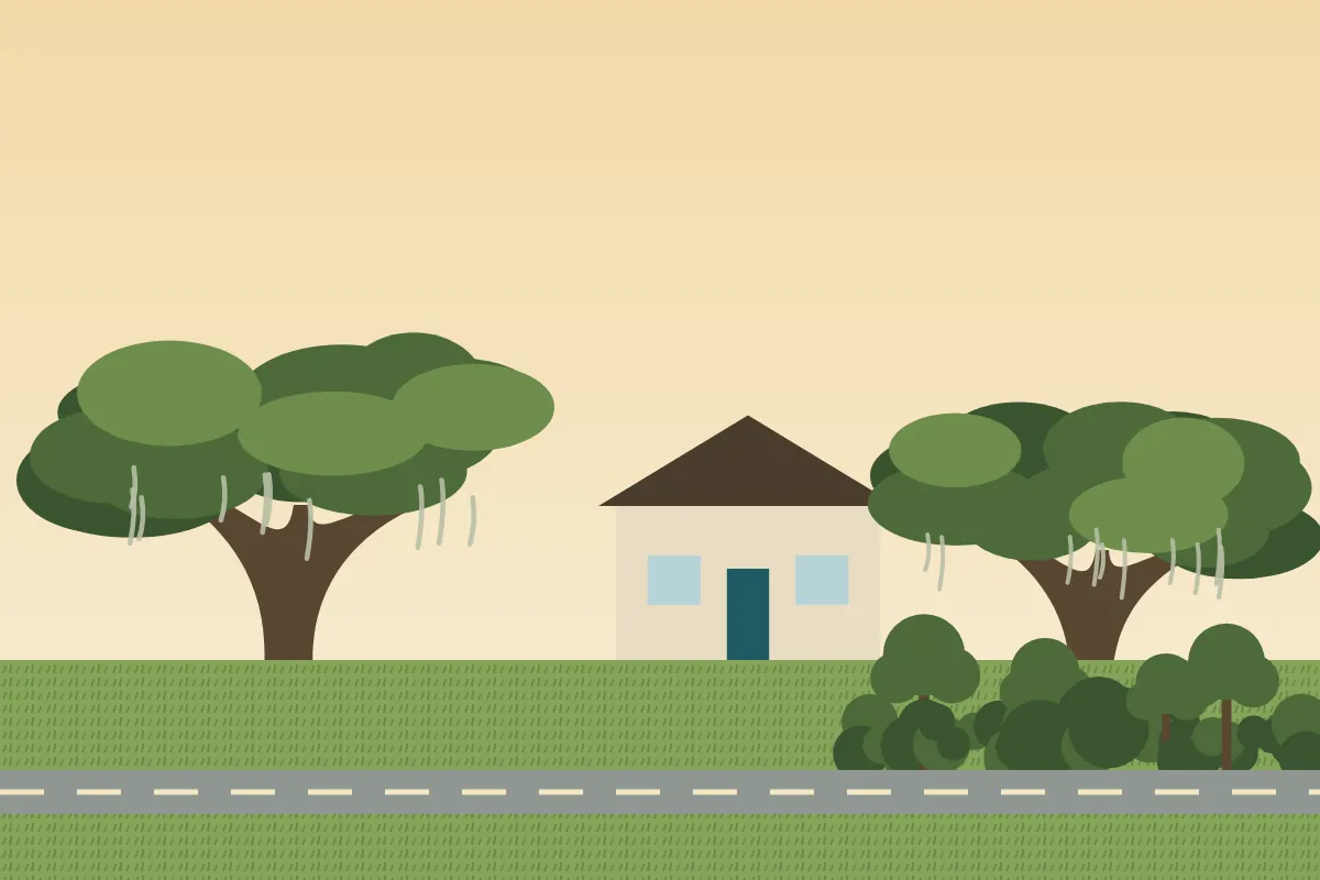 A suburban street edge with a wooded lot and live oaks draped in moss