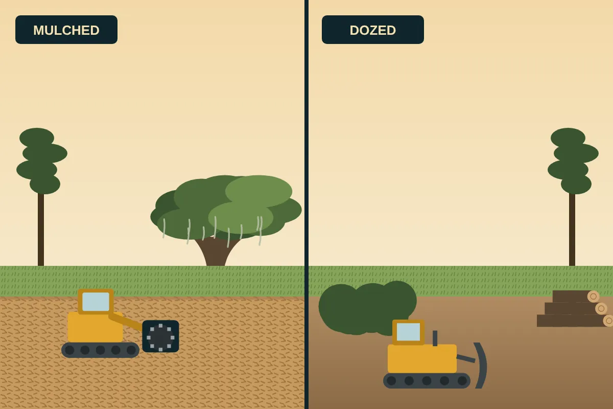 Split view: a mulched area with chips on the left and a bulldozed area with bare dirt and a brush pile on the right