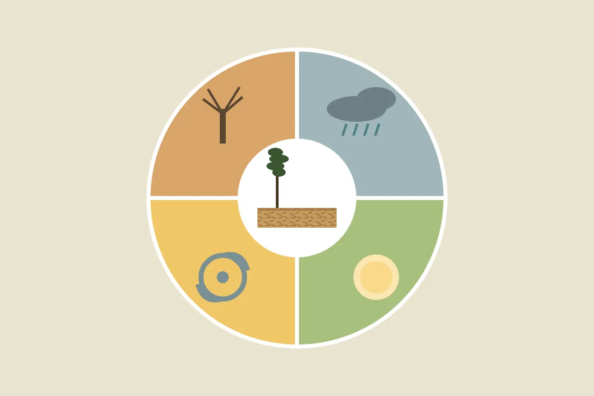 A calendar wheel with rain clouds, sun, a hurricane symbol and bare winter trees around a cleared lot
